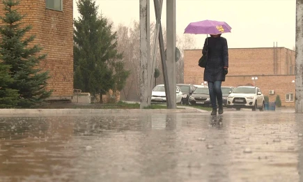 В Татарстане 21 октября ожидается дождливая погода - НТР 24