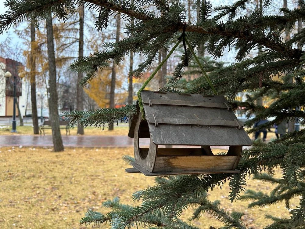 кормушка на ели в парке Нижнекамска