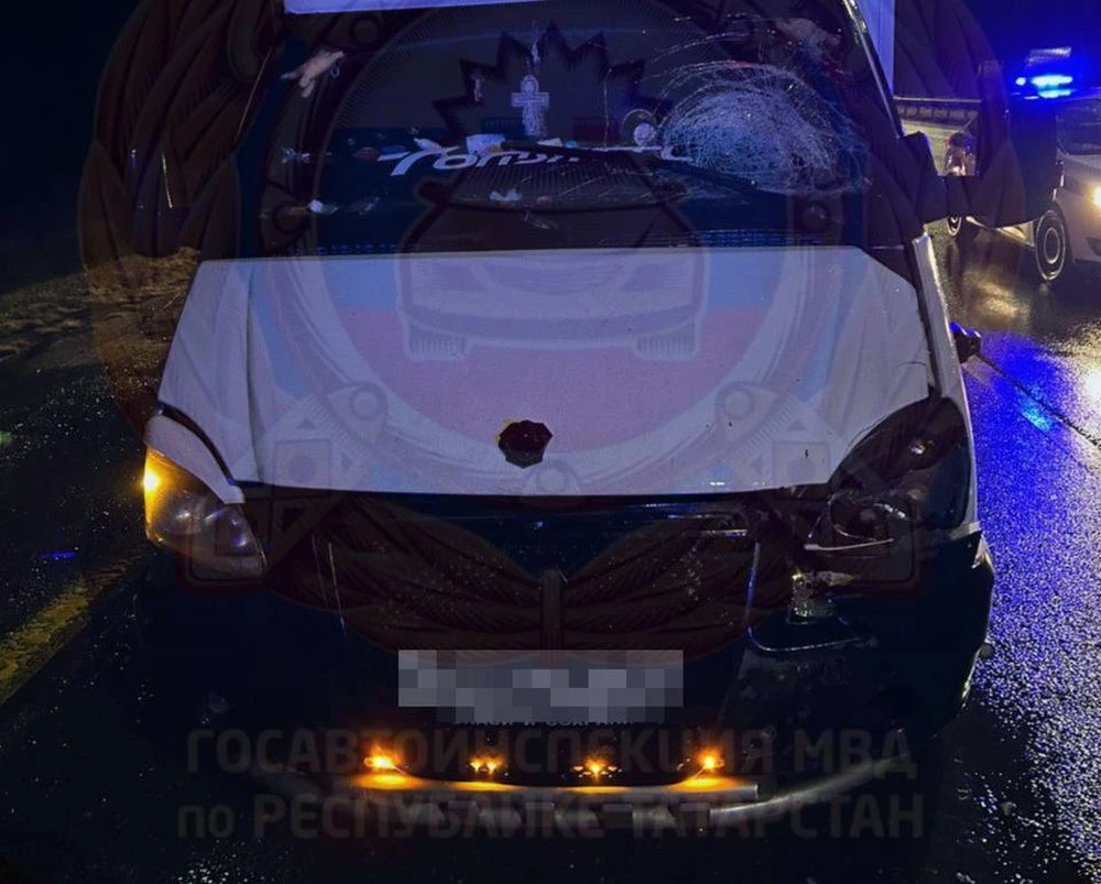 ГАЗель сбила пешехода в Алексеевском районе Татарстана