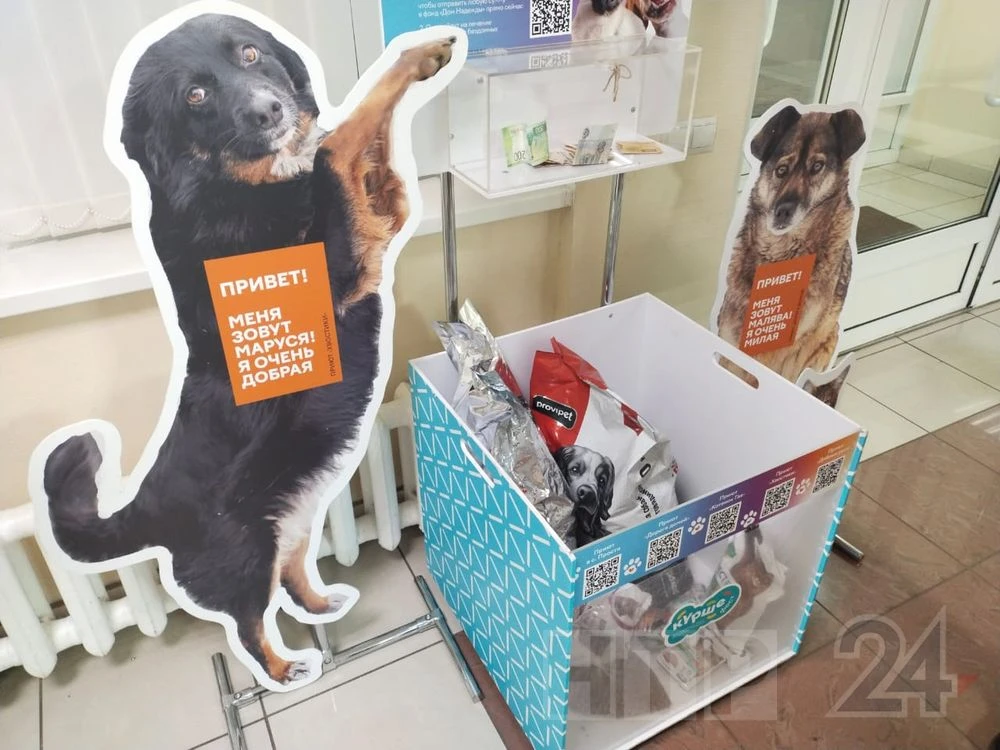 короб для сбора корма в МФЦ Нижнекамска