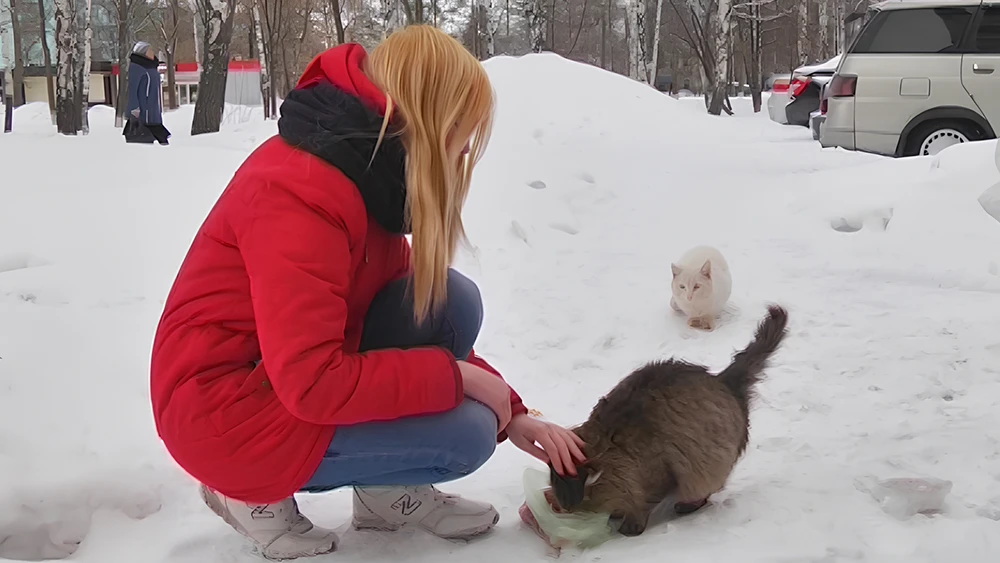 Девушка без шапки на голове кормит котов зимой