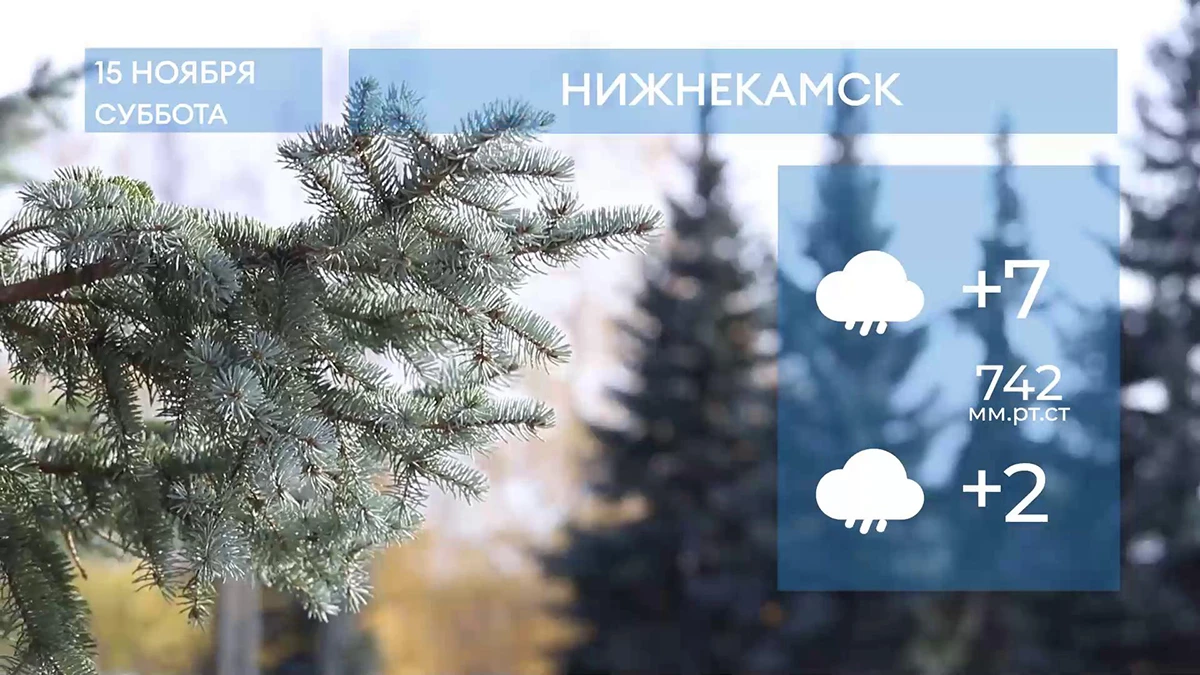 Прогноз погоды в Нижнекамске на 15-е ноября 2025 года