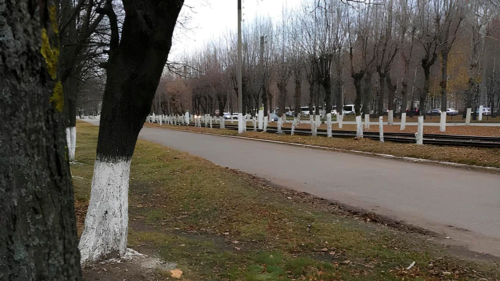 проспект Химиков в Нижнекамске осенью