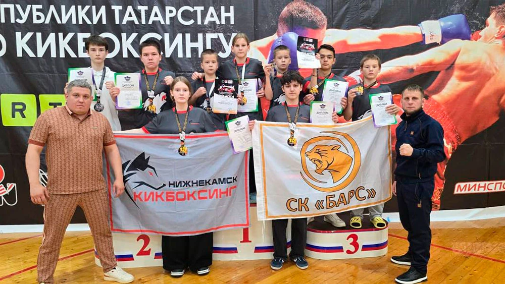 Нижнекамские кикбоксеры