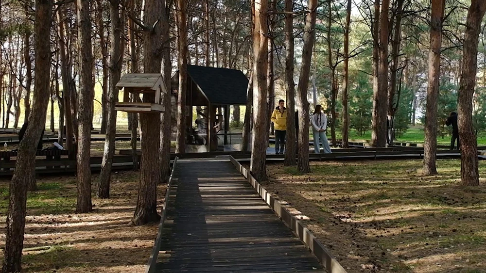 Вольер для белок в парке Семья в Нижнекамске среди сосен