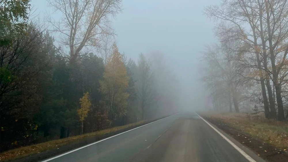 Туман на дороге