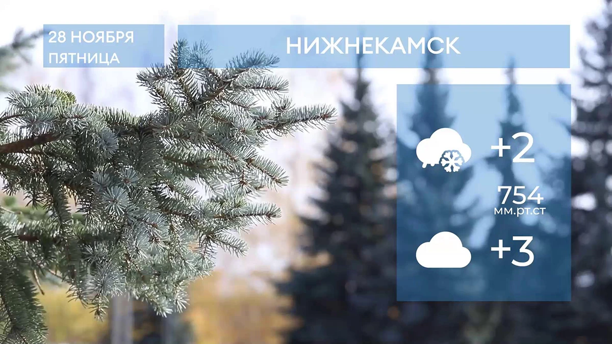 Прогноз погоды в Нижнекамске на 28-е ноября 2025 года