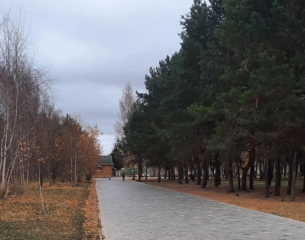 пешеходная дорожка в парке Семья Нижнекамск