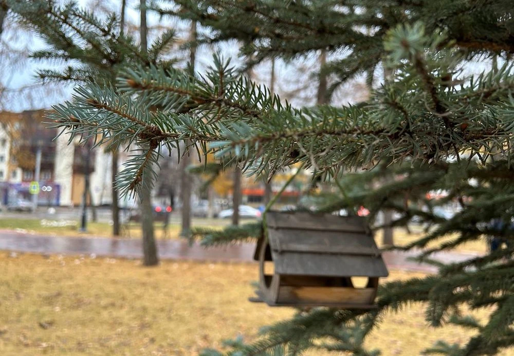 ёлка кормушка