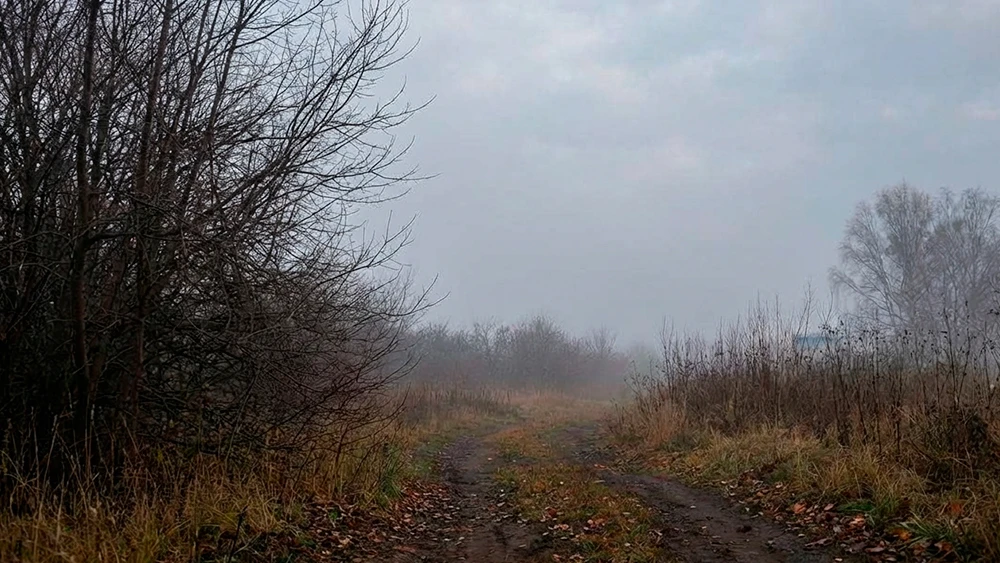 Осень в Нижнекамске