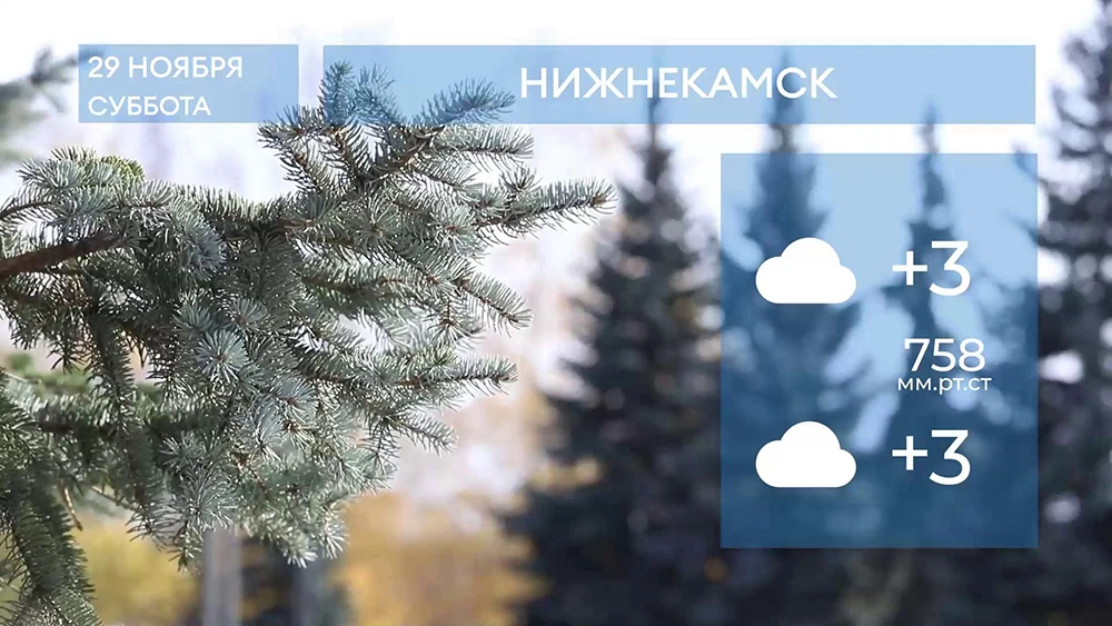Прогноз погоды в Нижнекамске на 29-е ноября 2025 года