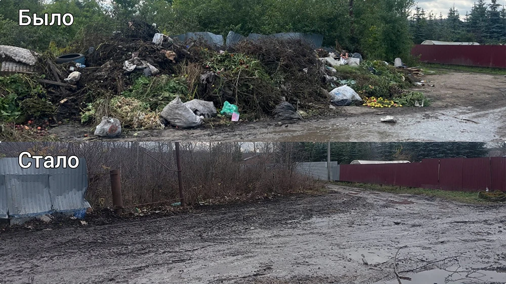 Свалка на территории садового товарищества «Нефтехимик» в Нижнекамске