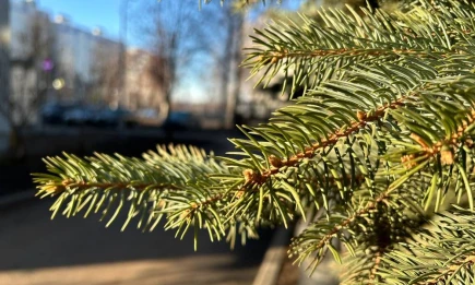 В Татарстан придёт потепление - НТР 24