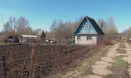 В Татарстане пройдет «горячая линия» для владельцев земельных участков - НТР 24