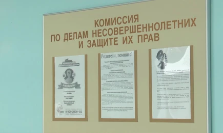 Юристы ответят на вопросы о правах детей в Нижнекамске - НТР 24
