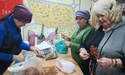 С теплом из дома - НТР 24