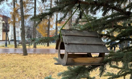 Синоптики Татарстана дали прогноз на начало короткой рабочей недели - НТР 24