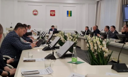 Новый посёлок и умные счетчики: инвестсовет Нижнекамска одобрил 4 новых проекта - НТР 24