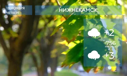 Прогноз погоды в Нижнекамске на 13-е ноября 2025 года - НТР 24
