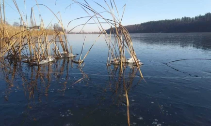 В Татарстане похолодает до -2 градусов, придут дожди и мокрый снег - НТР 24
