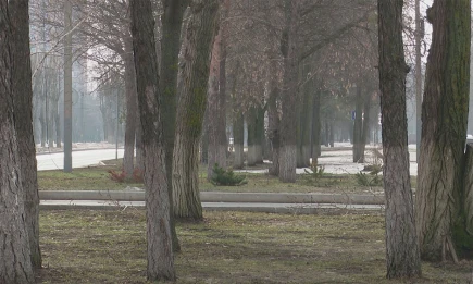 Татарстанцев предупредили о холодной ветреной погоде в праздничный день - НТР 24