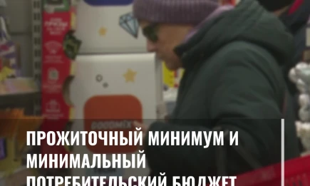 Прожиточный минимум и минимальный потребительский бюджет - НТР 24