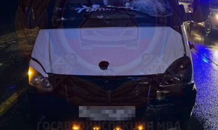 В Алексеевском районе «ГАЗель» насмерть сбила пешехода - НТР 24