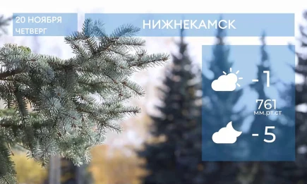 Прогноз погоды в Нижнекамске на 20-е ноября 2025 года - НТР 24