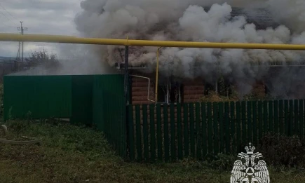 Многодетная семья спаслась из пожара в Заинске благодаря извещателю - НТР 24