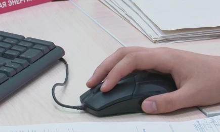 Россиян начали обманывать при поиске работы - НТР 24