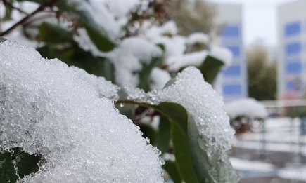 Осторожно, ненастье: Татарстан накроют дожди с мокрым снегом - НТР 24