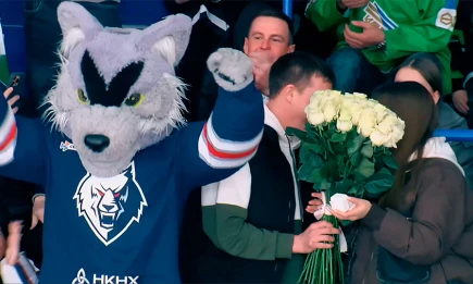 Победа и помолвка: на матче «Нефтехимика» болельщик сделал предложение руки и сердца - НТР 24