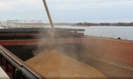 Татарстан увеличивает экспорт зерна: новая партия пшеницы направлена во Вьетнам - НТР 24