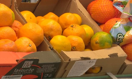 Сезонные продукты ноября: как укрепить иммунитет в преддверии зимы - НТР 24