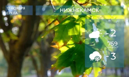 Прогноз погоды в Нижнекамске на 12-е ноября 2025 года - НТР 24