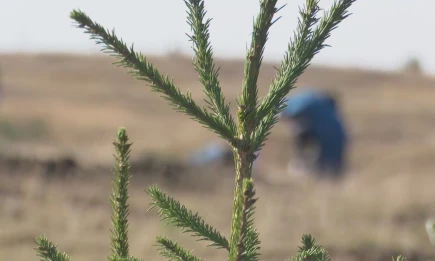 В Татарстане в пятницу потеплеет до +9 - НТР 24