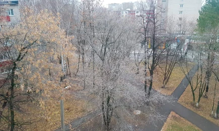 Погода 14 ноября: облачно, дождь и сильный ветер в Татарстане - НТР 24