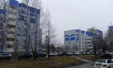 В последний день ноября Татарстан накроет туман, а на дорогах будет гололедица - НТР 24