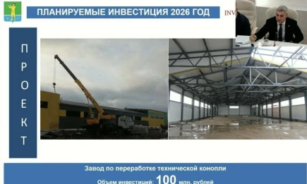 В Татарстане запустят завод по переработке технической конопли - НТР 24