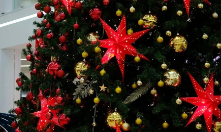 Турэксперт назвала самые доступные направления для путешествий на Новый год - НТР 24