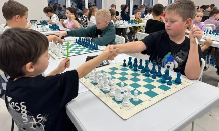 Шахматам быть! - НТР 24