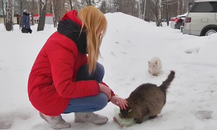 Врач предупредила, что отказ от шапки в мороз может привести к выпадению волос - НТР 24