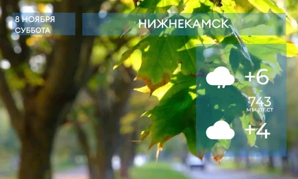 Прогноз погоды в Нижнекамске на 8-е ноября 2025 года - НТР 24