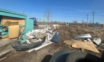 Незаконную свалку в Нижнекамске ликвидируют через суд по иску экологов - НТР 24