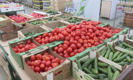 В Татарстане сразу на 5% подорожали огурцы и помидоры - НТР 24