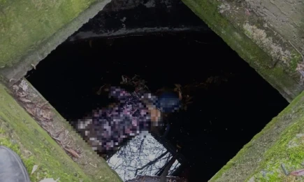 Тело женщины нашли в колодце на территории бывшего лесокомбината в Татарстане - НТР 24