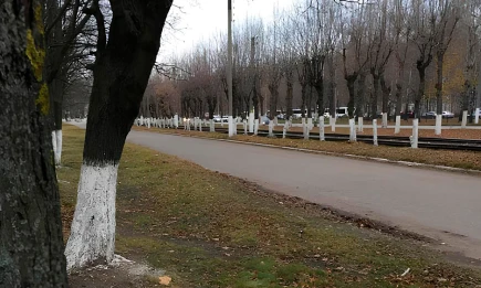 В Татарстане 21 ноября ожидается гололедица и похолодание до -8 - НТР 24