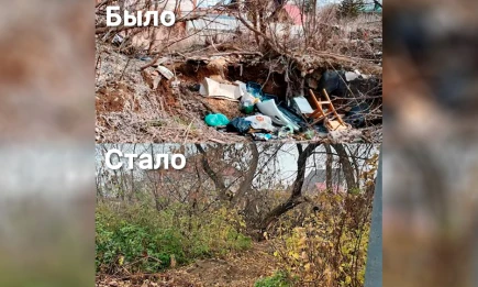 В Нижнекамске ликвидировали несанкционированную свалку - НТР 24