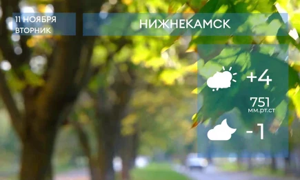 Прогноз погоды в Нижнекамске на 11-е ноября 2025 года - НТР 24