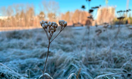 Арктический воздух принесет в Татарстан заморозки до -9 и гололедицу - НТР 24